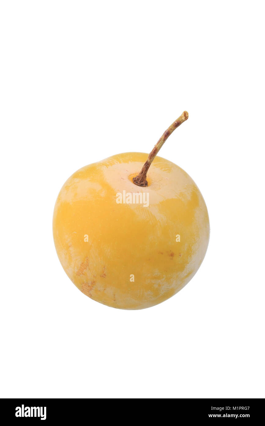 Detail Oliven Obst Nomer 22