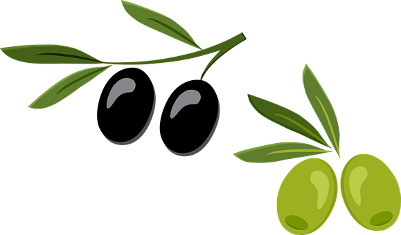 Detail Oliven Obst Nomer 5