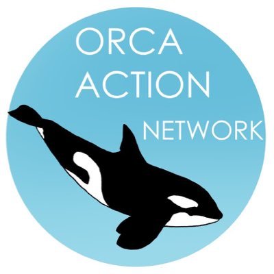 Detail Orca Guardians Iceland Nomer 9