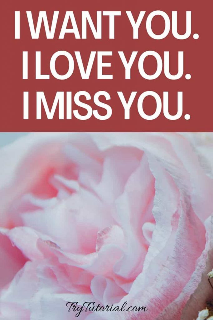 Detail I Miss You Quotes For Him Nomer 19
