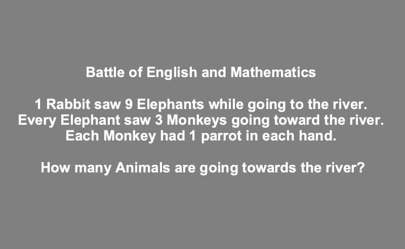 Detail I Rabbit Saw 9 Elephants Nomer 2