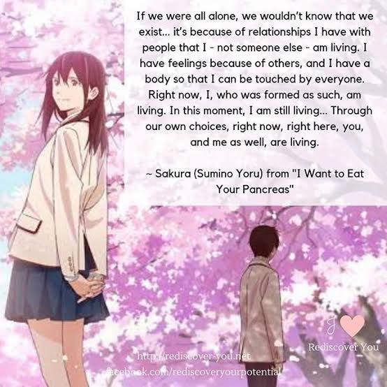 Detail I Want To Eat Your Pancreas Quotes Nomer 4