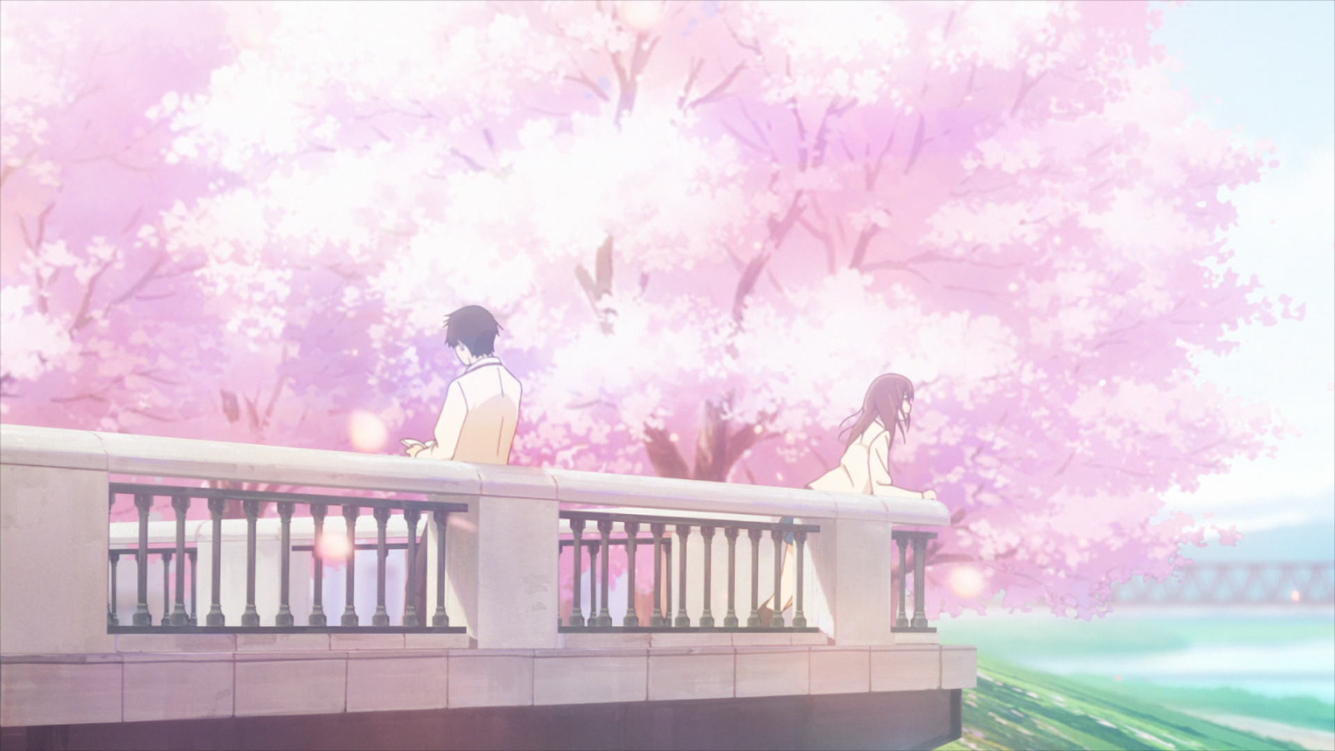 Detail I Want To Eat Your Pancreas Quotes Nomer 33