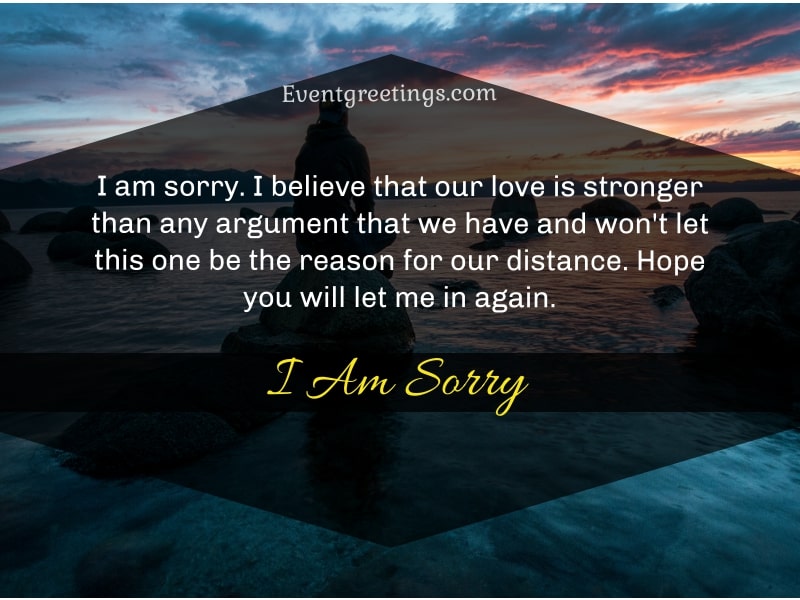 Detail Im So Sorry Quotes Nomer 20
