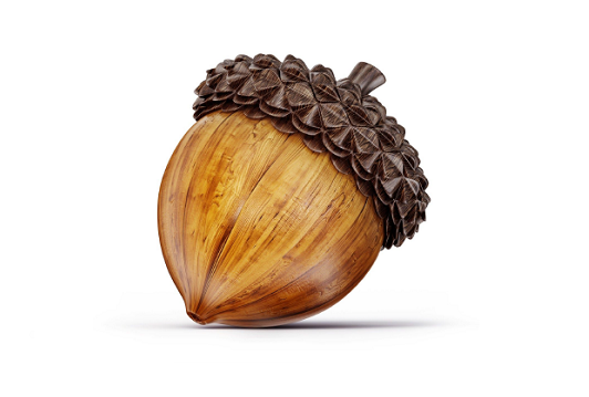 Detail Image Acorn Nomer 10