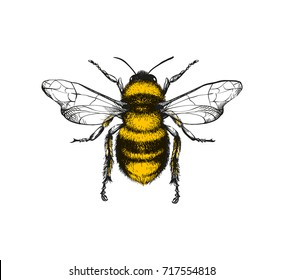 Detail Image Bee Nomer 15