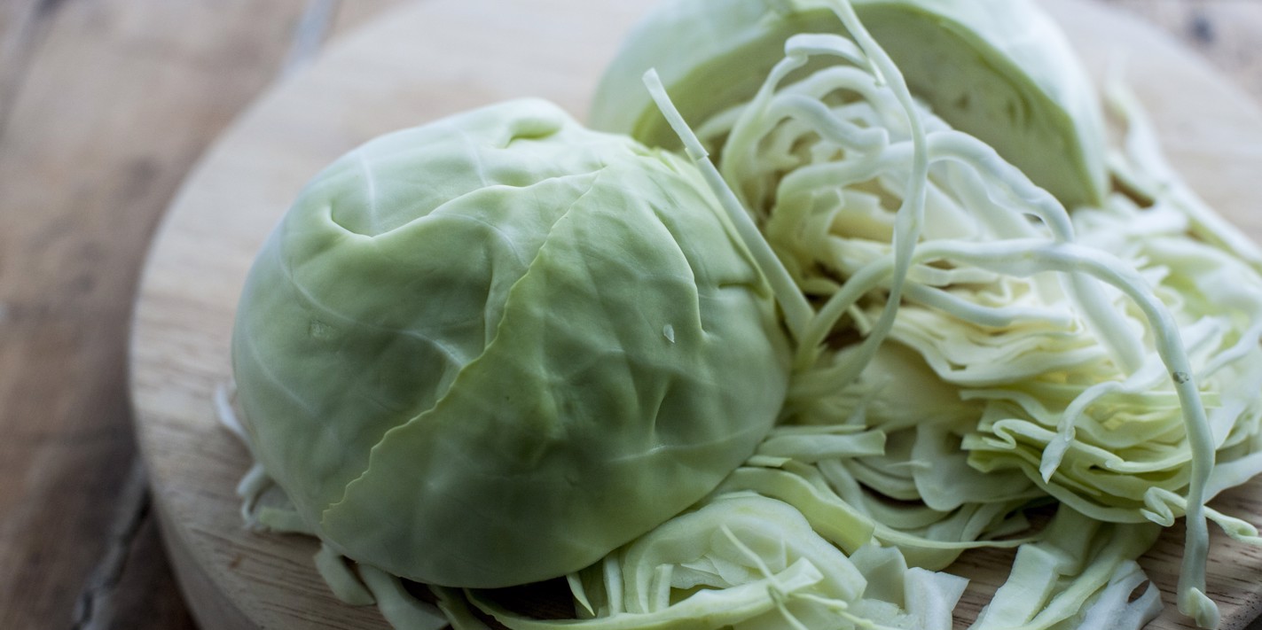 Detail Image Cabbage Nomer 19