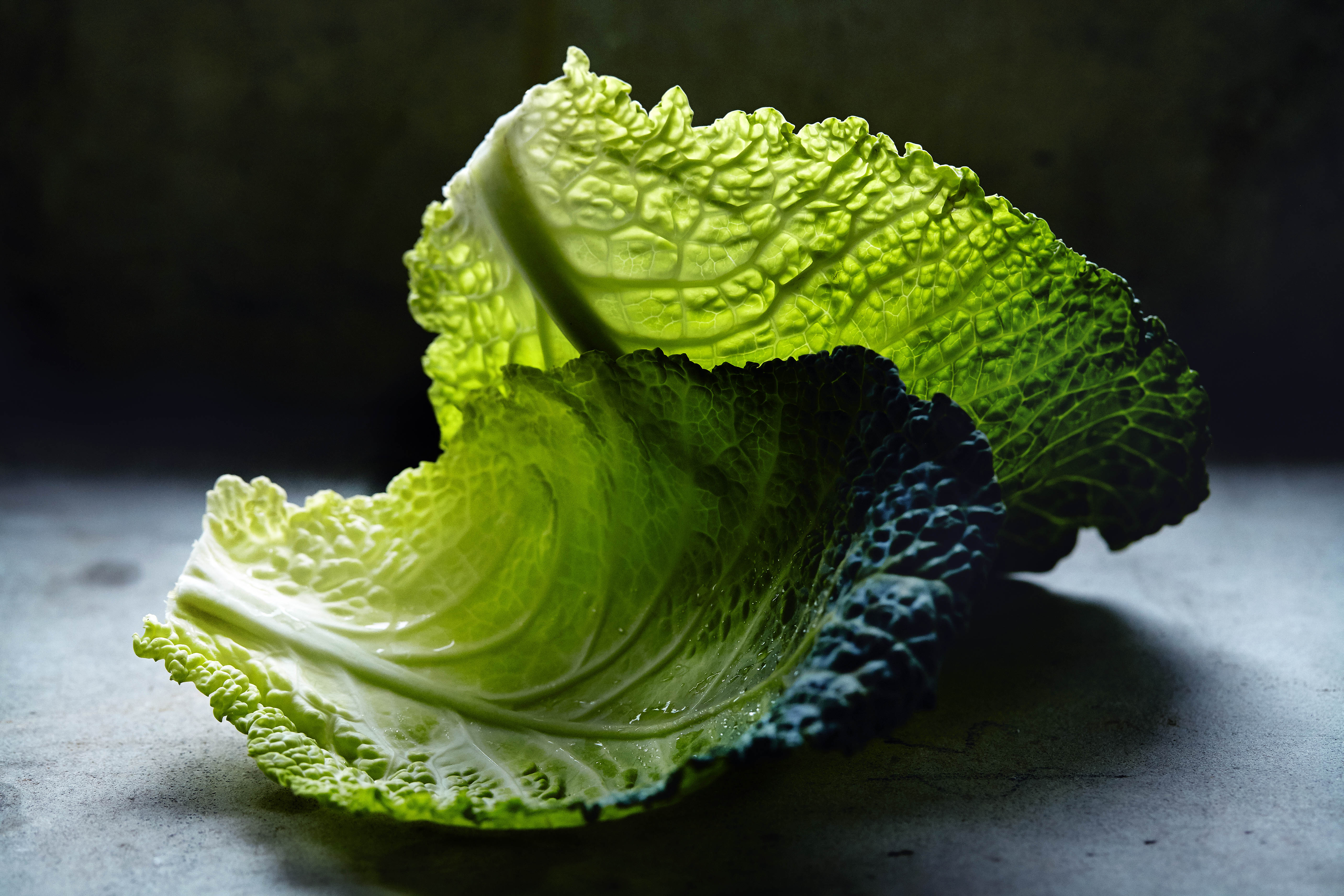 Detail Image Cabbage Nomer 30