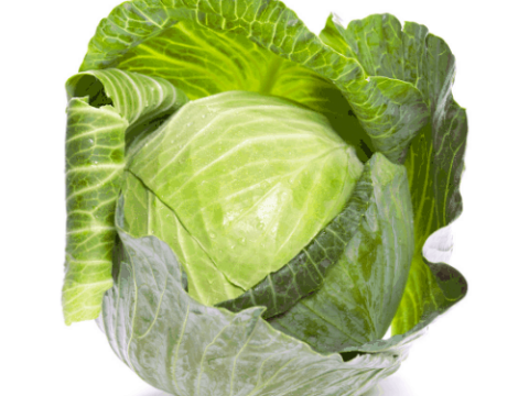 Detail Image Cabbage Nomer 42