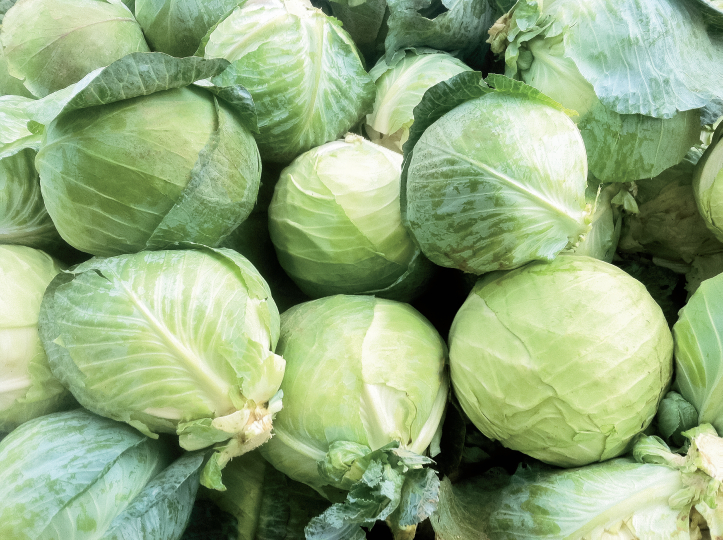 Detail Image Cabbage Nomer 51