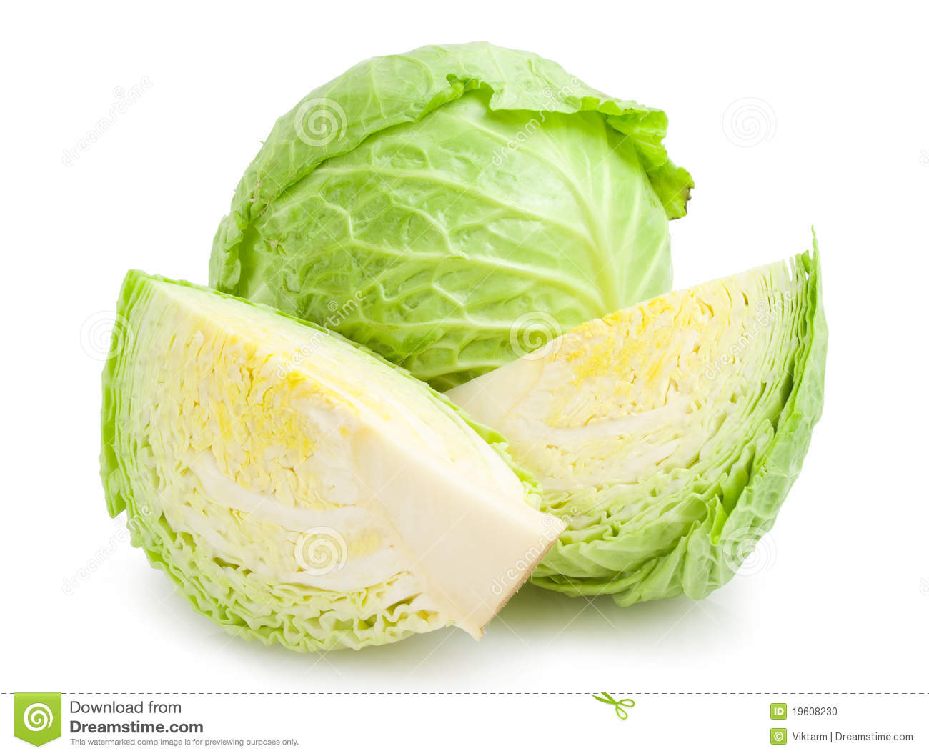 Detail Image Cabbage Nomer 9