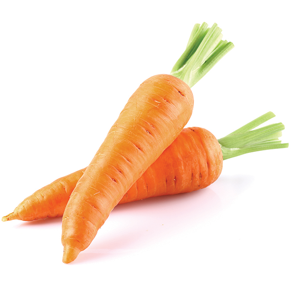 Detail Image Carrots Nomer 8