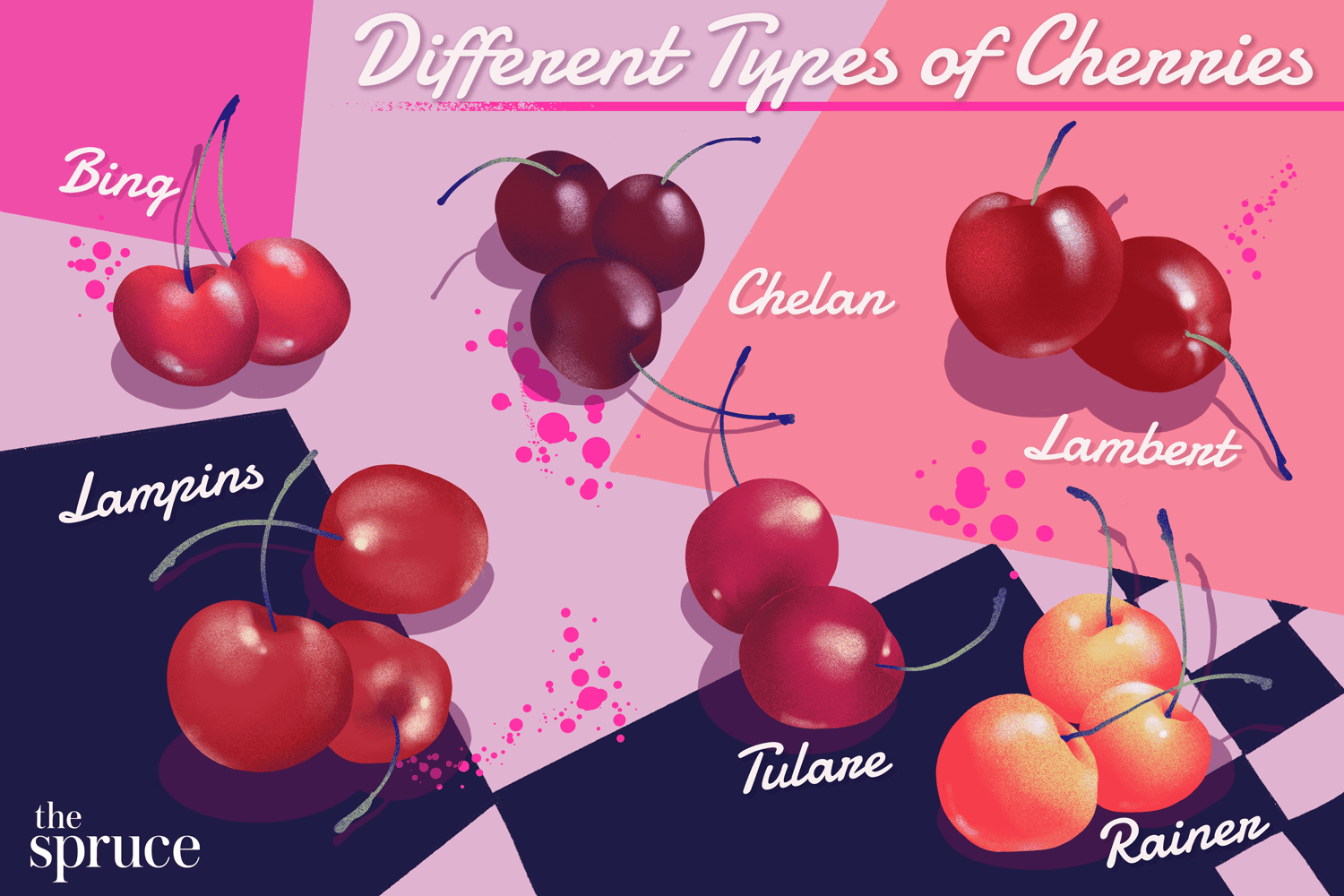 Detail Image Cherries Nomer 40