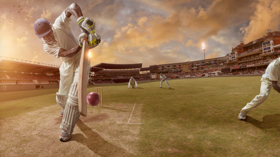 Detail Image Cricket Player Nomer 24
