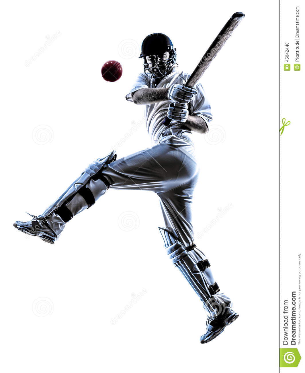 Detail Image Cricket Player Nomer 50