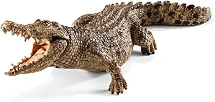 Detail Image Crocodile Nomer 42