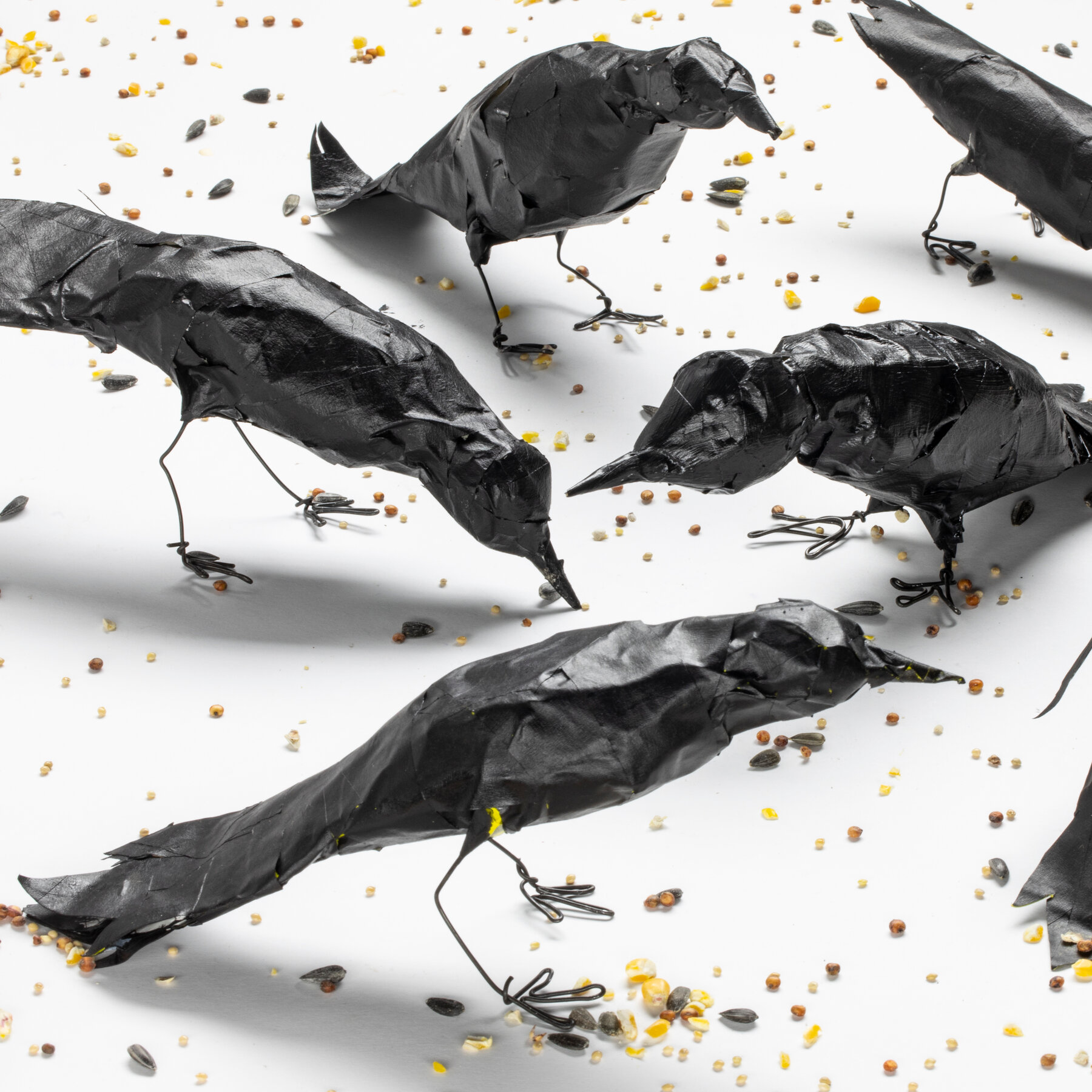 Detail Image Crow Nomer 27