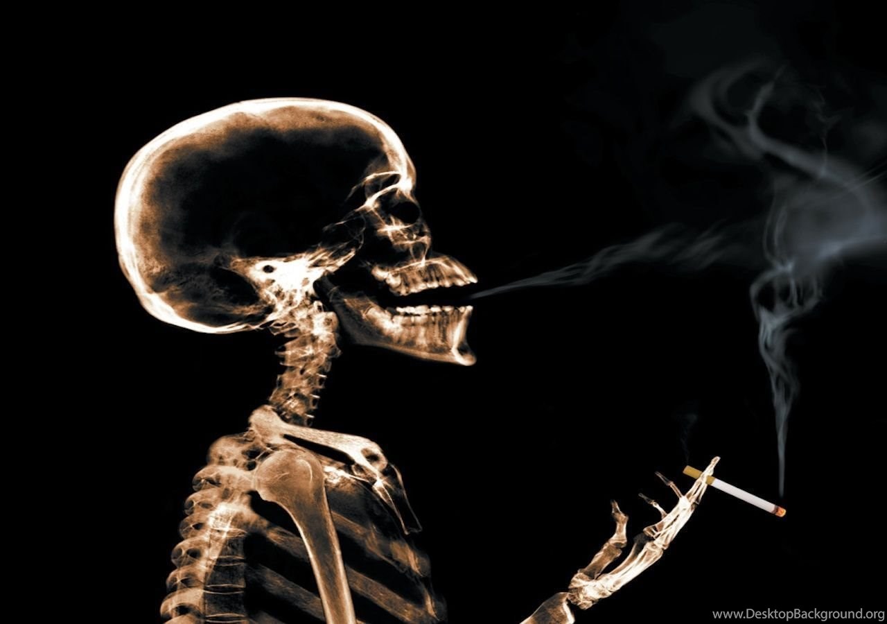 Detail Image Danger Smoke Gambar Slogan Tentang Bahaya Rokok Nomer 31