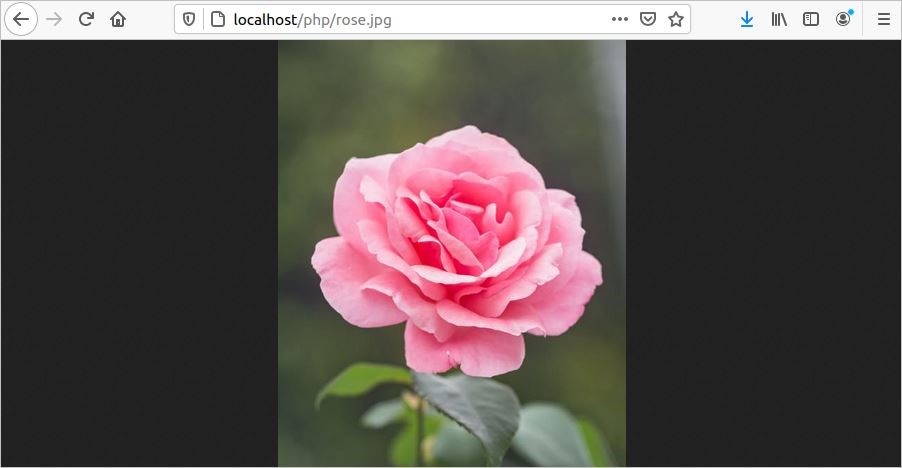Detail Image Download In Php Nomer 6