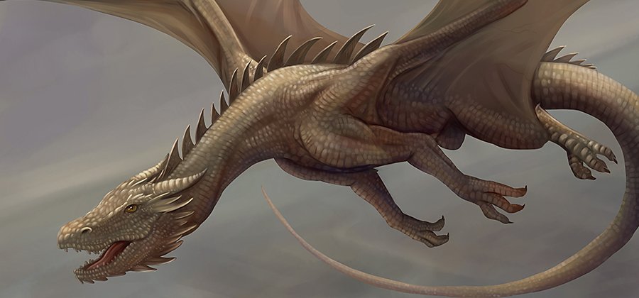 Detail Image Dragon Nomer 17