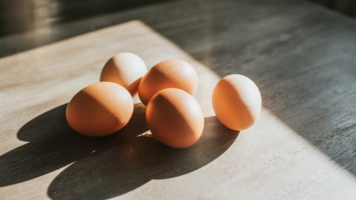 Detail Image Egg Nomer 17