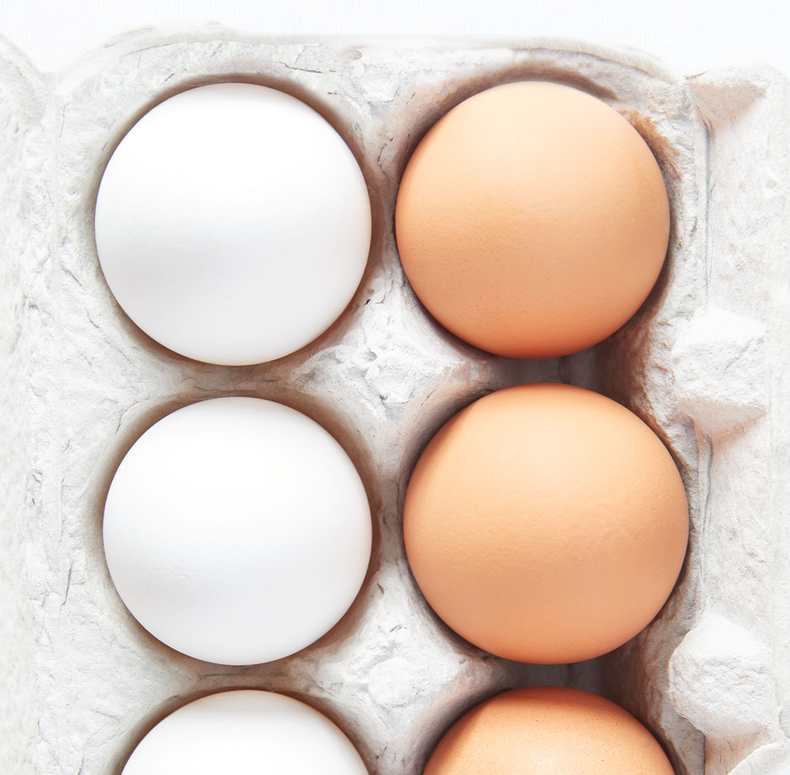Detail Image Egg Nomer 31