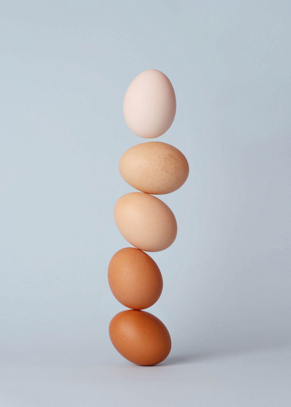 Detail Image Egg Nomer 34