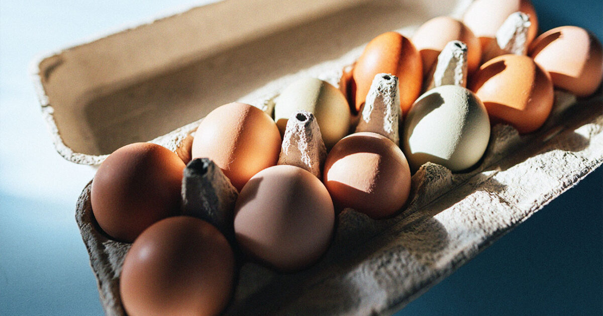 Detail Image Egg Nomer 41