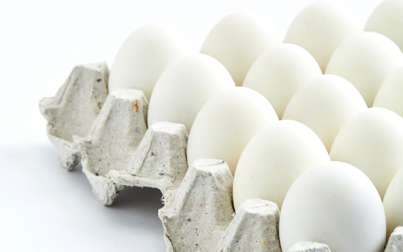 Detail Image Eggs Nomer 20