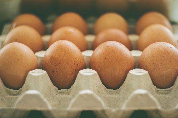 Detail Image Eggs Nomer 39