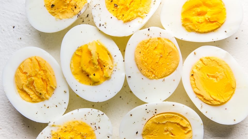 Detail Image Eggs Nomer 41