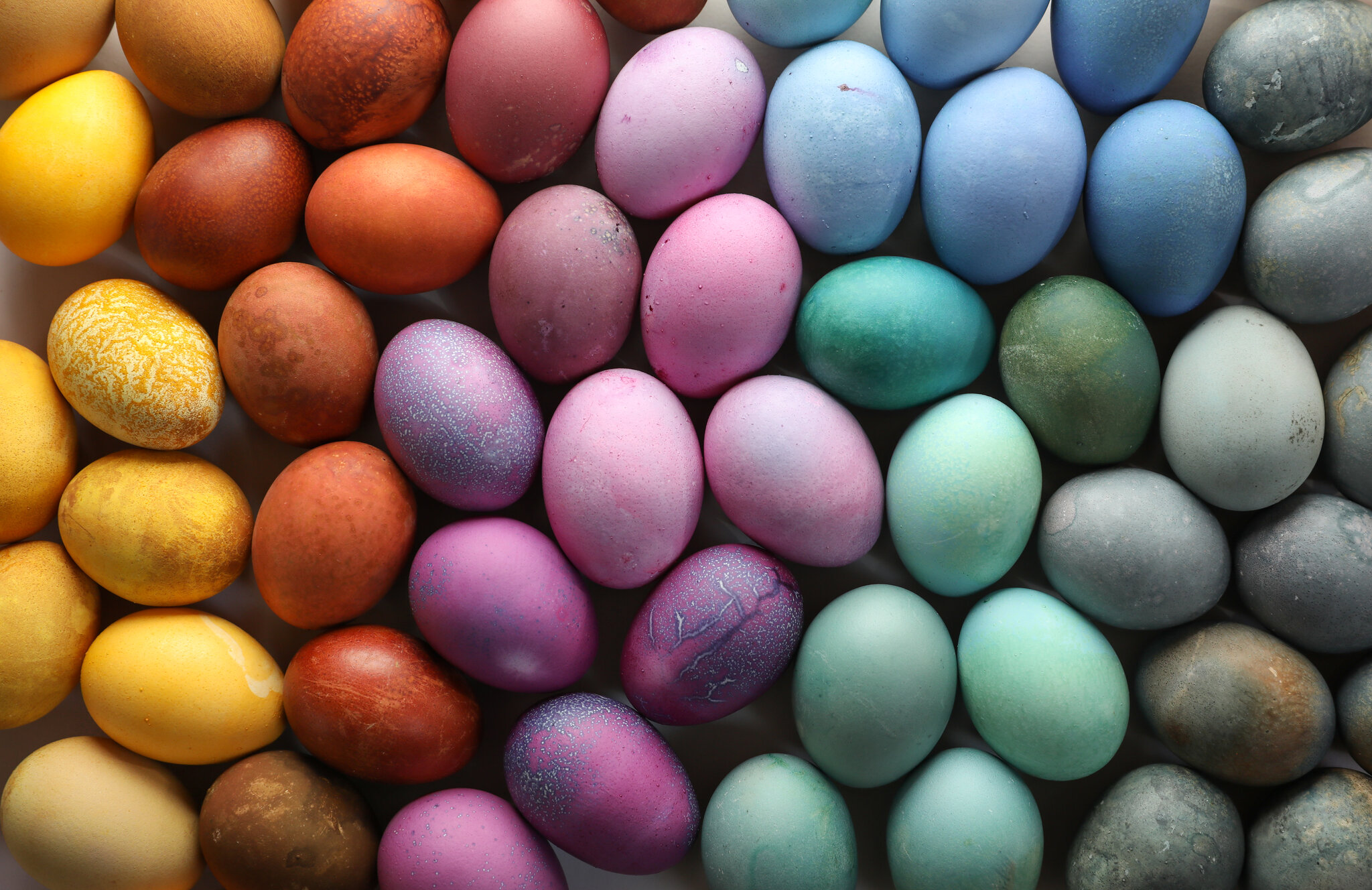 Detail Image Eggs Nomer 53