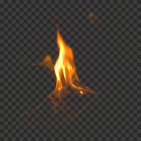 Detail Image Flame Nomer 29