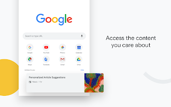 Detail Image Google Chrome Nomer 45