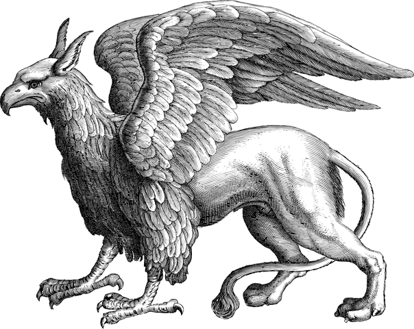 Detail Image Griffin Nomer 3