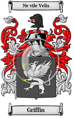 Detail Image Griffin Nomer 49