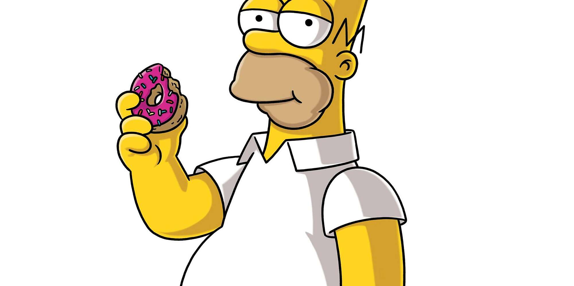 Detail Image Homer Simpson Nomer 7