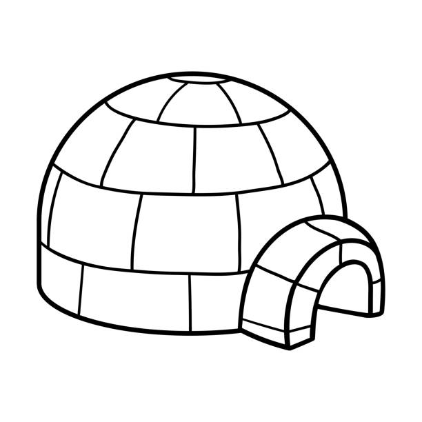 Detail Image Igloo Nomer 48