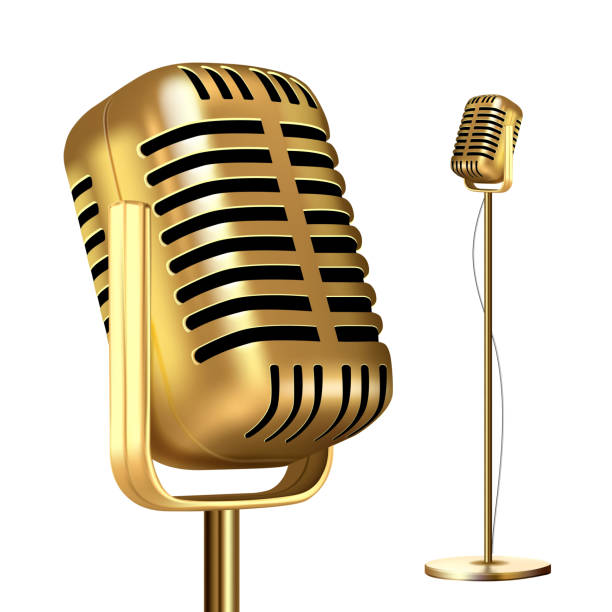 Detail Image Microphone Nomer 5