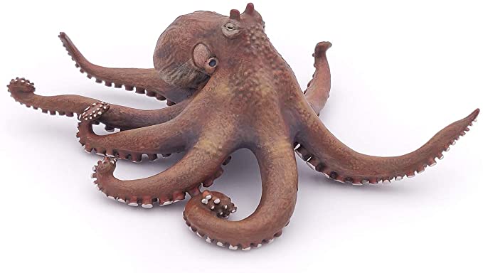 Detail Image Octopus Nomer 36