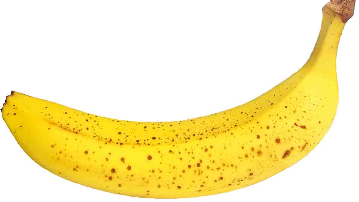 Detail Image Of A Banana Nomer 42