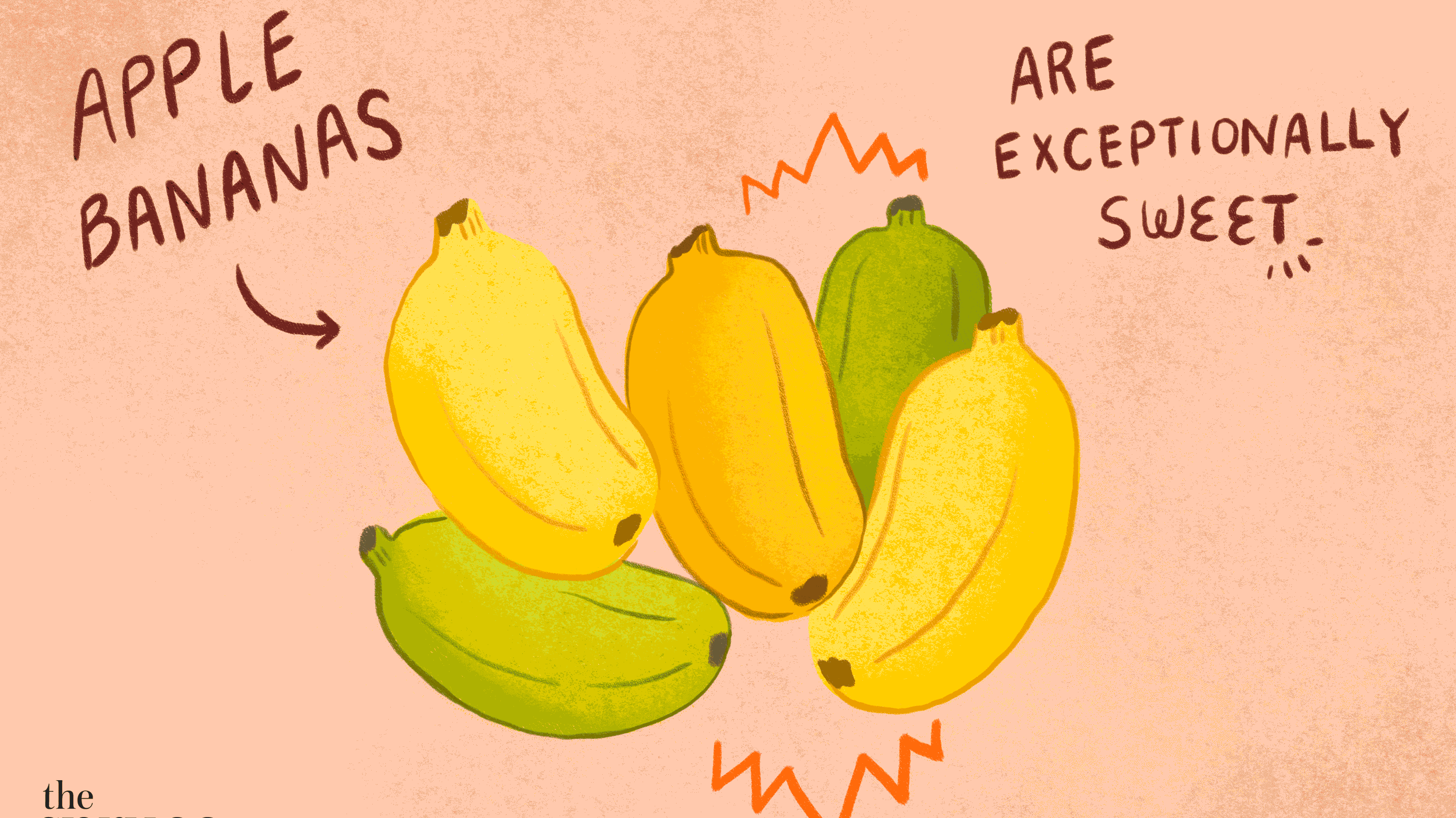 Detail Image Of A Banana Nomer 54