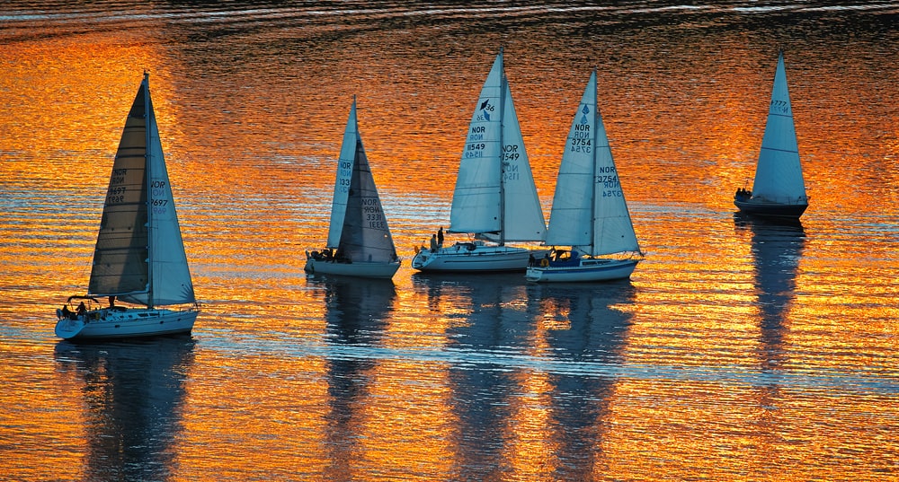 Detail Image Of A Boat Nomer 11