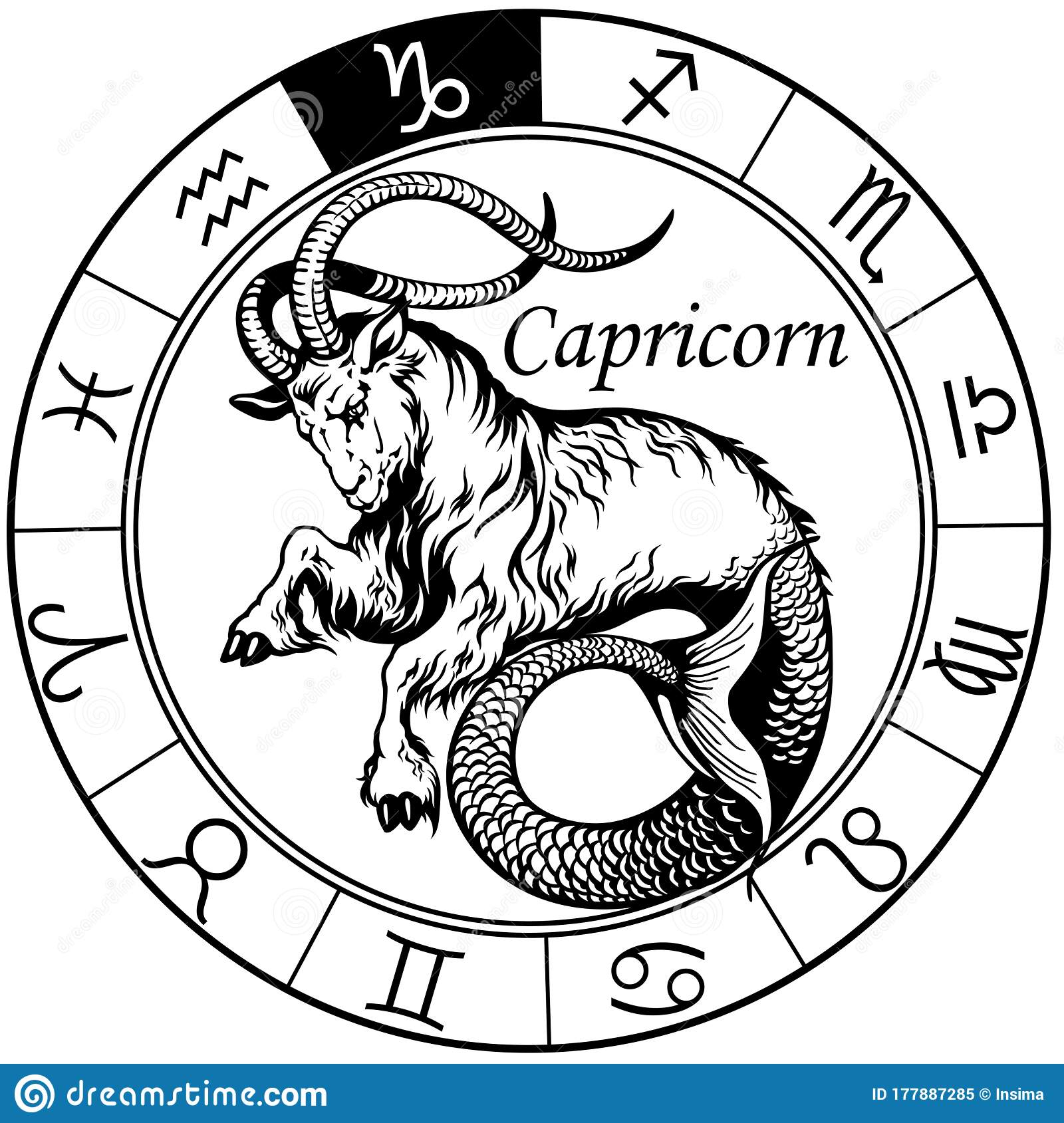 Detail Image Of A Capricorn Nomer 48