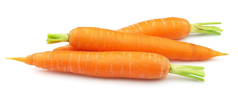 Image Of A Carrot - KibrisPDR