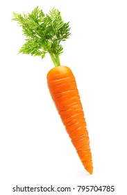 Detail Image Of A Carrot Nomer 13