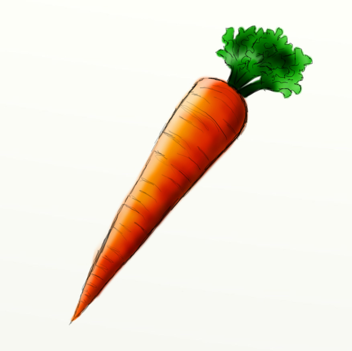 Detail Image Of A Carrot Nomer 4