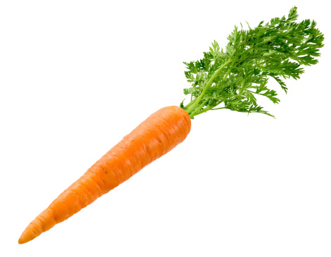 Detail Image Of A Carrot Nomer 9