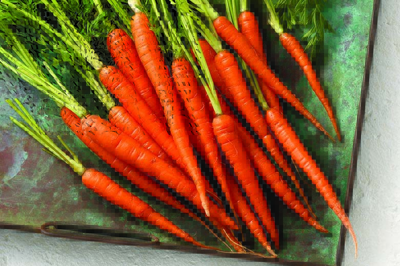 Detail Image Of A Carrot Nomer 10