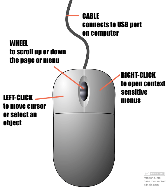 Detail Image Of A Computer Mouse Nomer 28